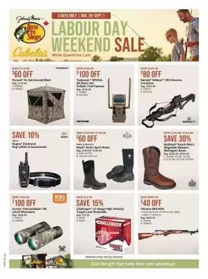 Cabela's flyer