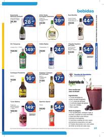 Catálogo Comercial Zaffari Página 13
