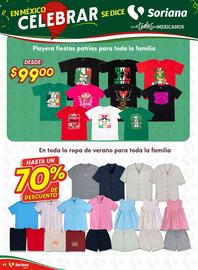 Catálogo Soriana Súper Página 43