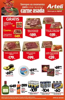 Catálogo Arteli (válido hasta 1-09)