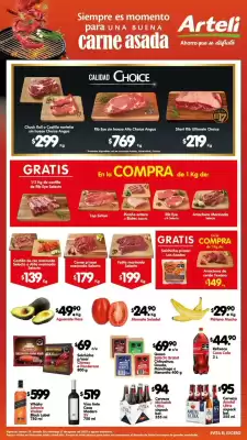 Catálogo Arteli (válido hasta 1-09)