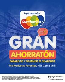 Catálogo Surtifamiliar Página 1