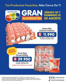 Catálogo Surtifamiliar Página 2