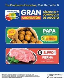 Catálogo Surtifamiliar Página 3