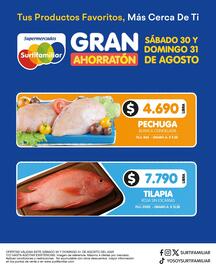 Catálogo Surtifamiliar Página 5