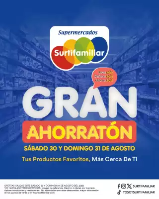 Catálogo Surtifamiliar (válido hasta 31-08)