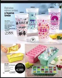 Catálogo Violetta Fabiani Página 104