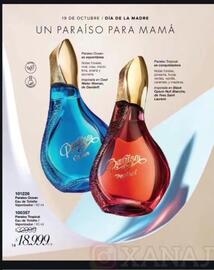 Catálogo Violetta Fabiani Página 16