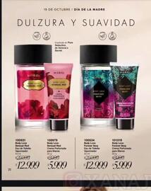 Catálogo Violetta Fabiani Página 22