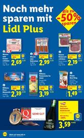 Lidl Flugblatt woche 36 Seite 13