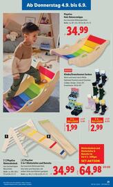 Lidl Flugblatt woche 36 Seite 24