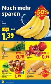 Lidl Flugblatt woche 36 Seite 41