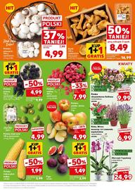 Kaufland gazetka Strona 13