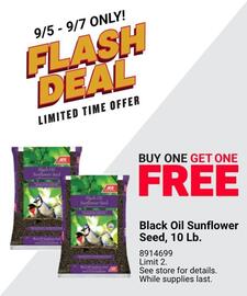 Ace Hardware Weekly Ad Page 2