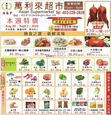 flyer-cover