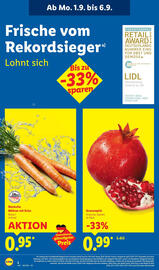 Lidl Prospekt woche 36 Seite 2