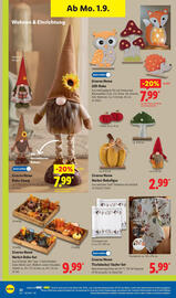 Lidl Prospekt woche 36 Seite 40