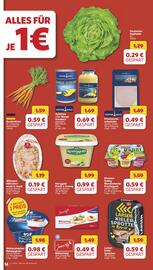 Famila Nord West Prospekt woche 36 Seite 17