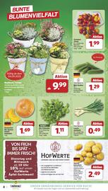 Famila Nord West Prospekt woche 36 Seite 4