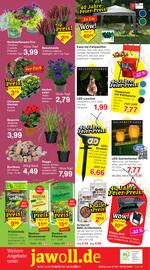 Wiglo Wunderland Prospekt woche 36 Seite 12