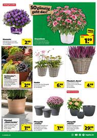 Hagebau Prospekt woche 35 Seite 15