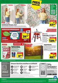 Hagebau Prospekt woche 35 Seite 16