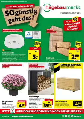 Hagebau Prospekt (gültig bis 6-09)