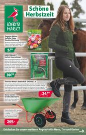 Kiebitzmarkt Prospekt woche 35 Seite 1