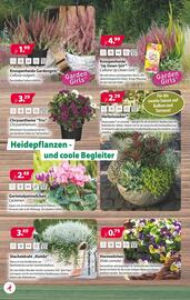 Kiebitzmarkt Prospekt woche 35 Seite 10