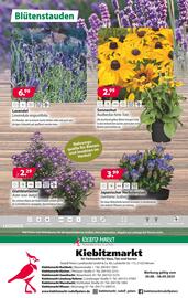 Kiebitzmarkt Prospekt woche 35 Seite 12