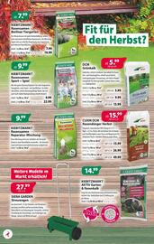 Kiebitzmarkt Prospekt woche 35 Seite 2