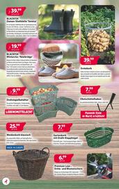 Kiebitzmarkt Prospekt woche 35 Seite 4