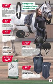 Kiebitzmarkt Prospekt woche 35 Seite 5