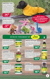 Kiebitzmarkt Prospekt woche 35 Seite 7