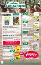 Kiebitzmarkt Prospekt woche 35 Seite 8