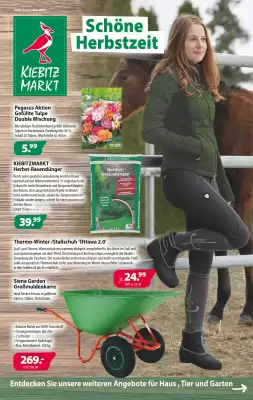 Kiebitzmarkt Prospekt (gültig bis 6-09)