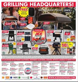 Ace Hardware Weekly Ad Page 3