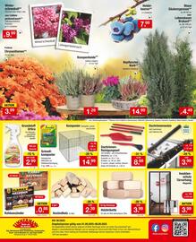 Zimmermann Prospekt woche 36 Seite 12