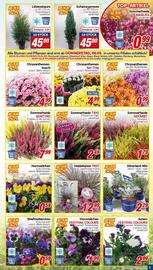 CENTERSHOP Prospekt woche 36 Seite 5
