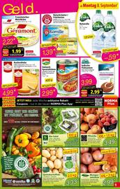 Norma Prospekt woche 37 Seite 9