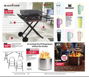 Ace Hardware Weekly Ad Page 10
