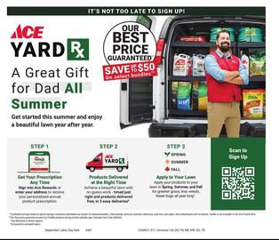 Ace Hardware Weekly Ad Page 11