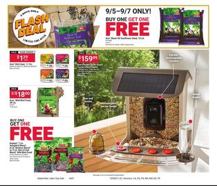 Ace Hardware Weekly Ad Page 2