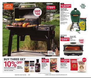 Ace Hardware Weekly Ad Page 9