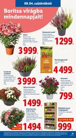 Pick-Lidl Nyereményjáték 2025.09.24 akciós újság hét 36 Oldal 29
