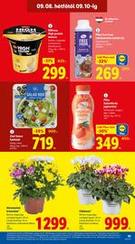 Pick-Lidl Nyereményjáték 2025.09.24 akciós újság hét 36 Oldal 59