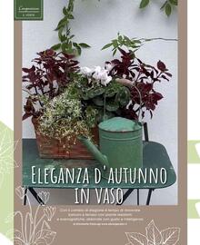 Volantino A&O | Primizie club Pagina 43