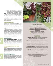 Volantino A&O | Primizie club Pagina 44