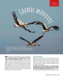 Volantino A&O | Primizie club Pagina 50