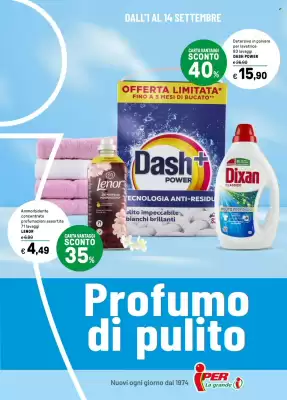 Volantino Iper La Grande (valido fino al 14-09)